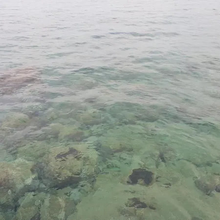 Th Luxury & 게스트하우스